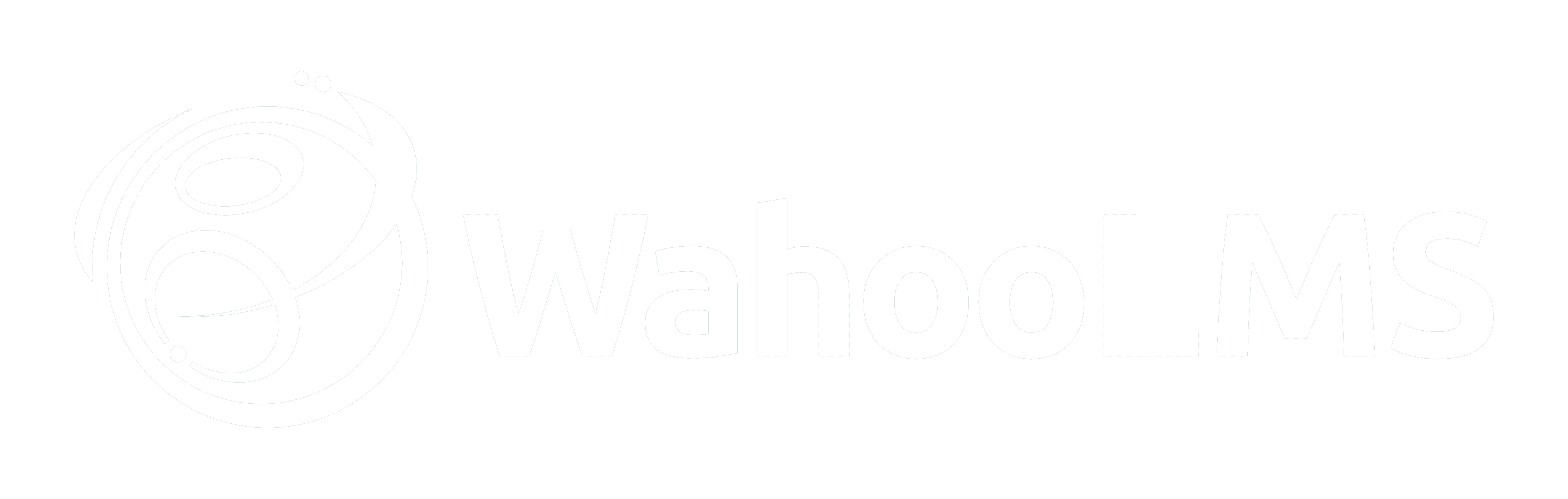 Wahoo learning compass logo
